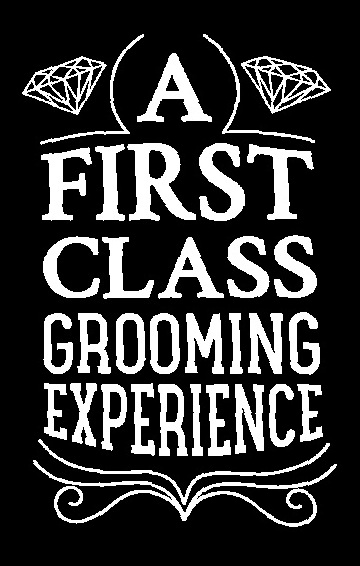 A first class grooming experience